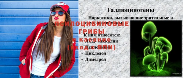 СК Дмитров