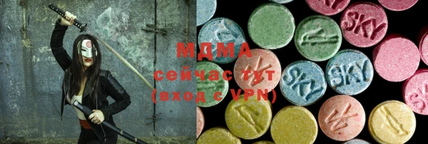 гашик Ельня