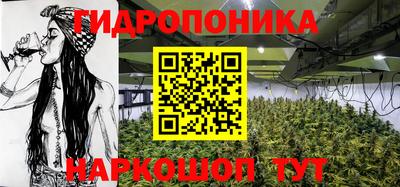 спиды Лесосибирск