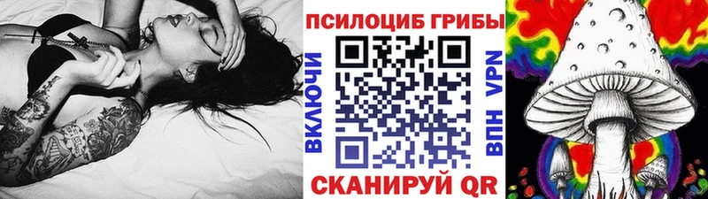 даркнет сайт  Знаменск  Псилоцибиновые грибы GOLDEN TEACHER 