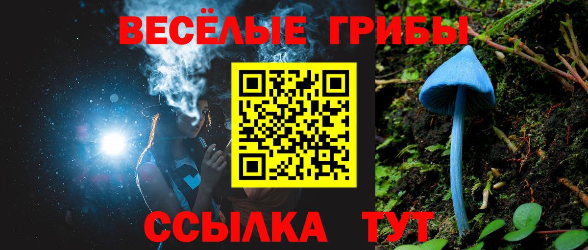 Галлюциногенные грибы мицелий Знаменск